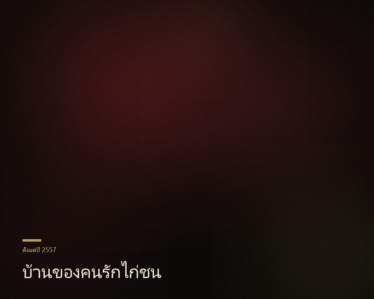 ทีมงานคลับไก่ชนและบรรยากาศสนาม