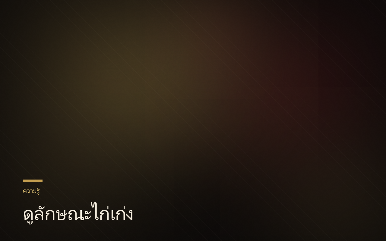 ดูลักษณะไก่เก่ง: 7 จุดสังเกตก่อนเลือกไก่เข้าสังเวียน