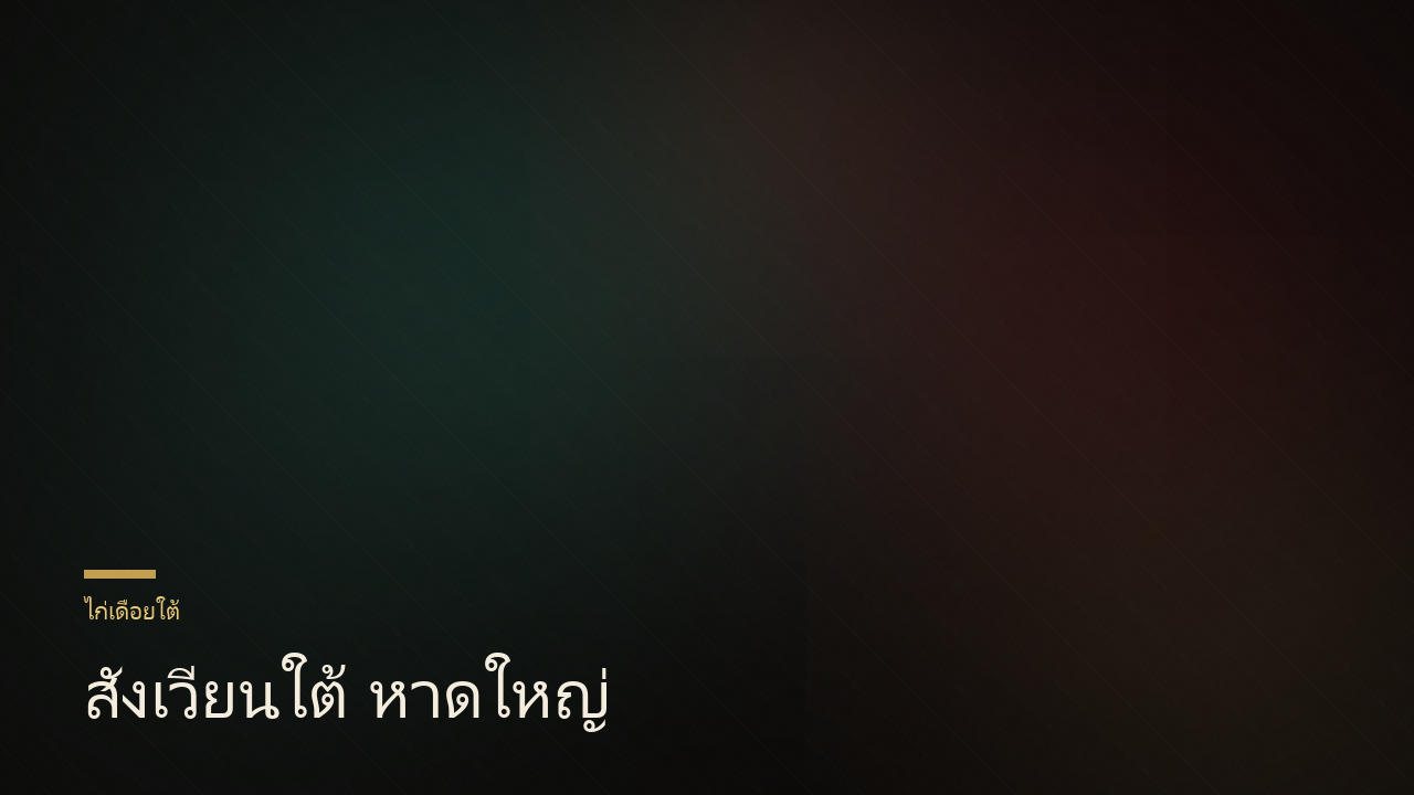 สังเวียนใต้ หาดใหญ่