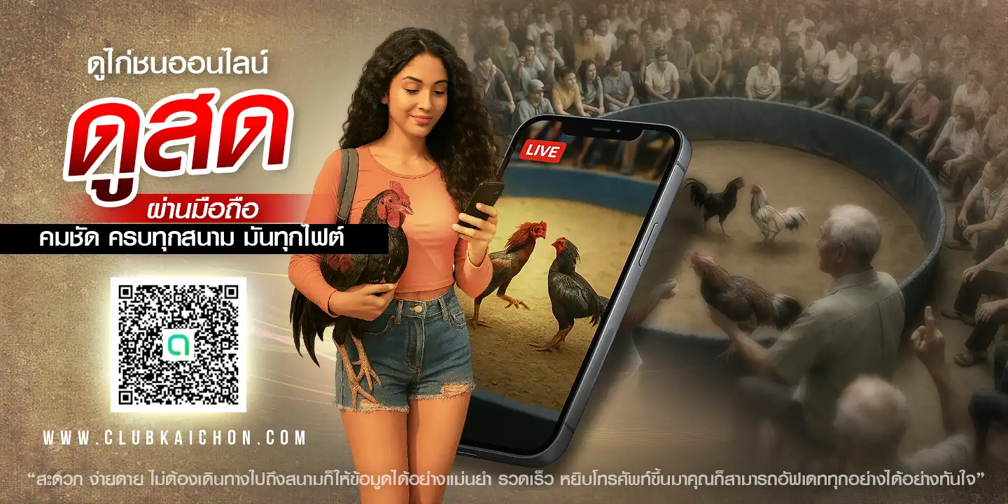 สไลด์แนะนำเว็บคลับไก่ชน-1
