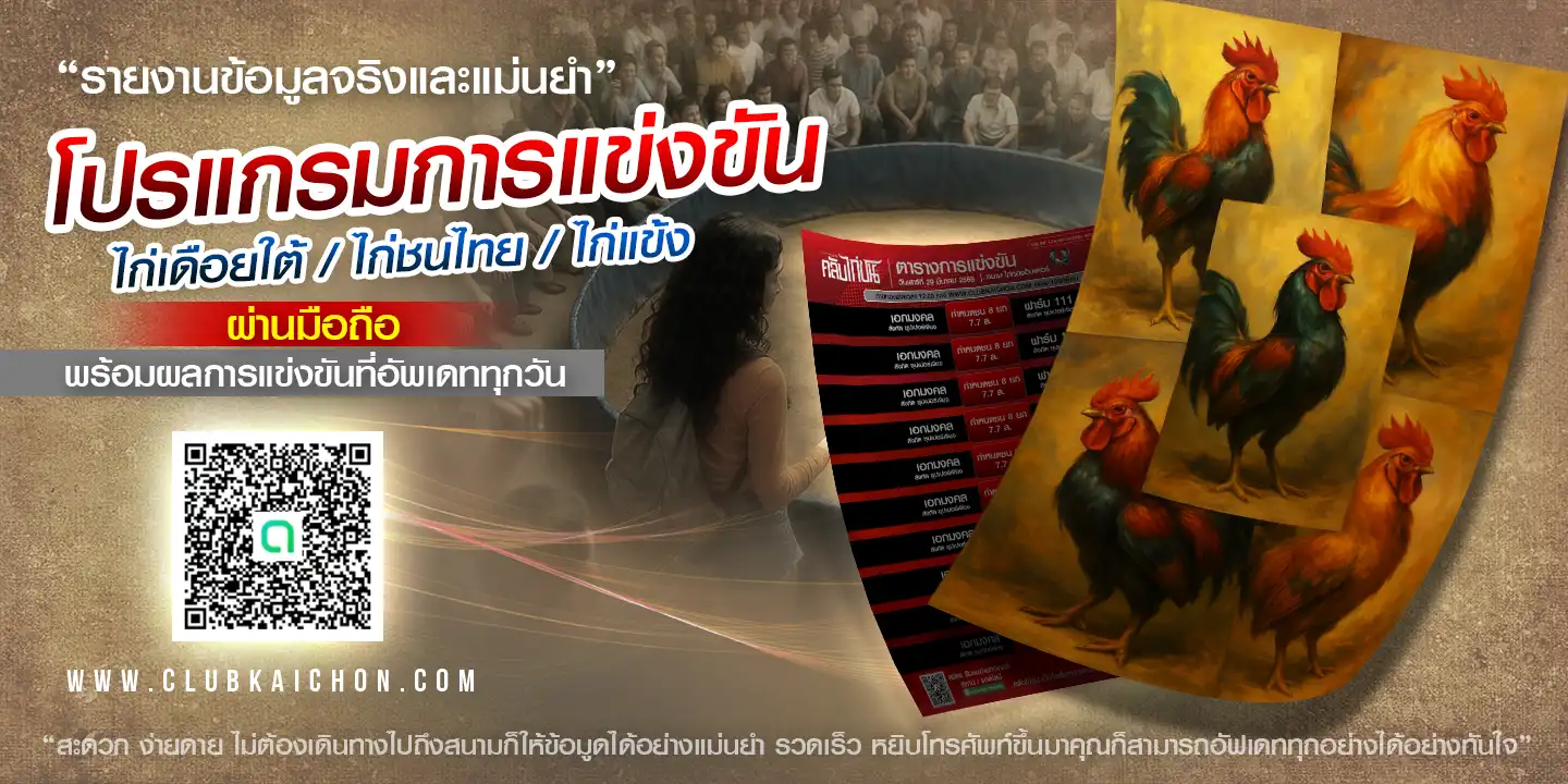 โปรแกรมการแข่งขันทั้งไก่เดือยใต้