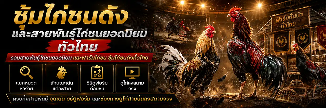 ฟาร์มไก่ชน ซุ้มไก่ชนดัง